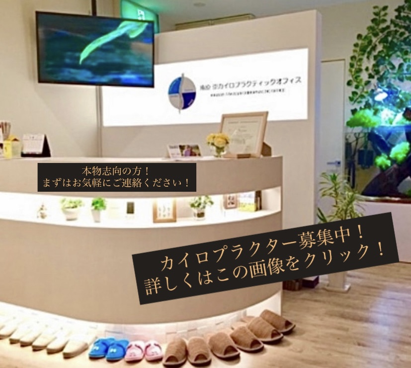 カイロプロテクター募集中