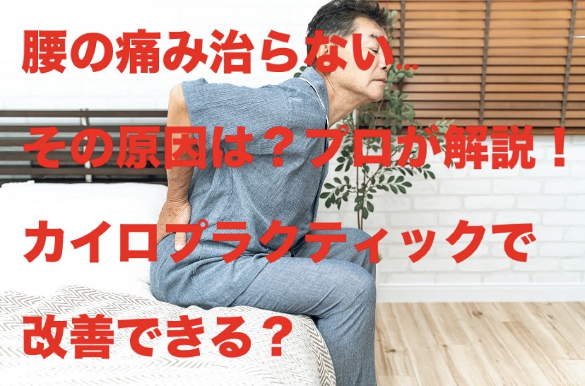 腰の痛み治らない…その原因は?プロが解説!カイロプラクティックで改善できる?